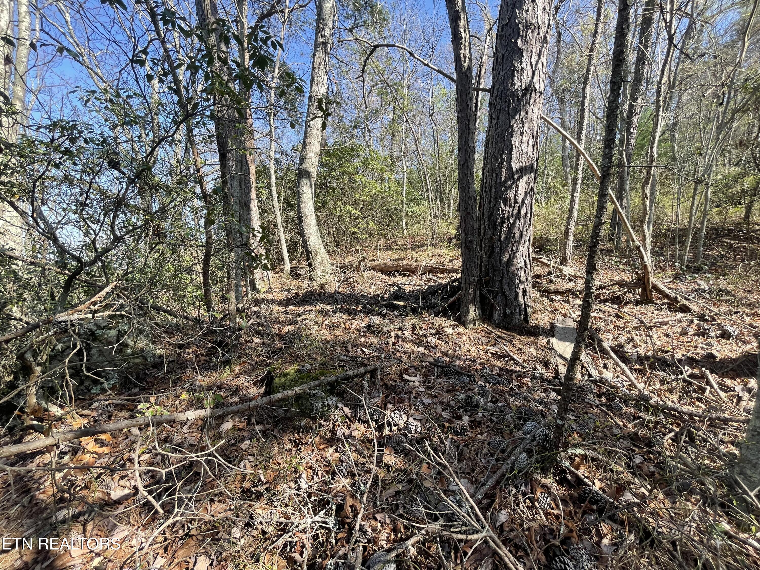 Property Photo: Lot 5 Overholt Tr TN 37862