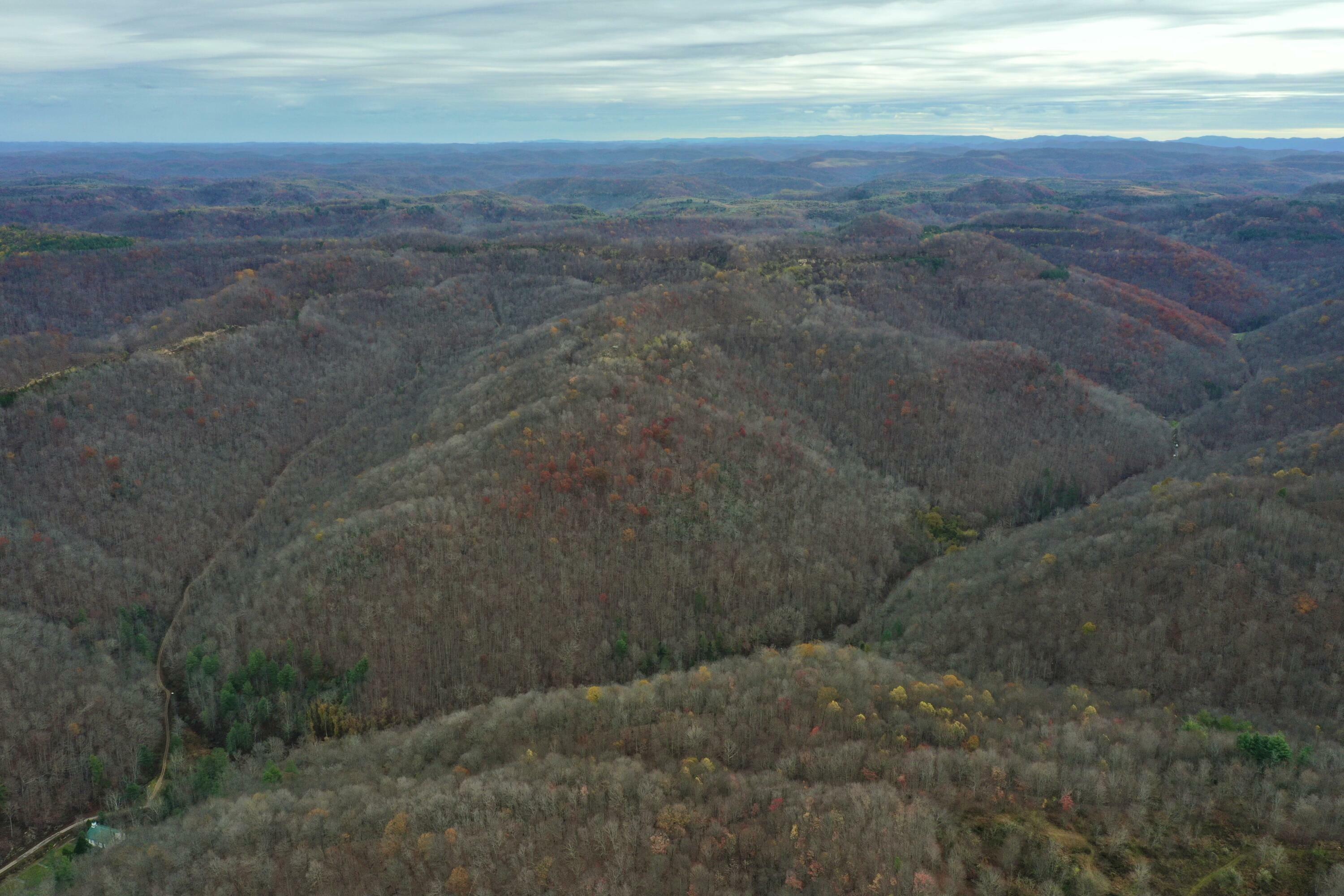 Property Photo:  Tract 1 Cow Fork Road  KY 40913 