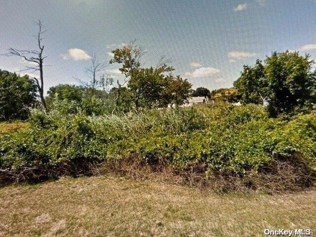 Property Photo:  100 Austin  NY 11726 