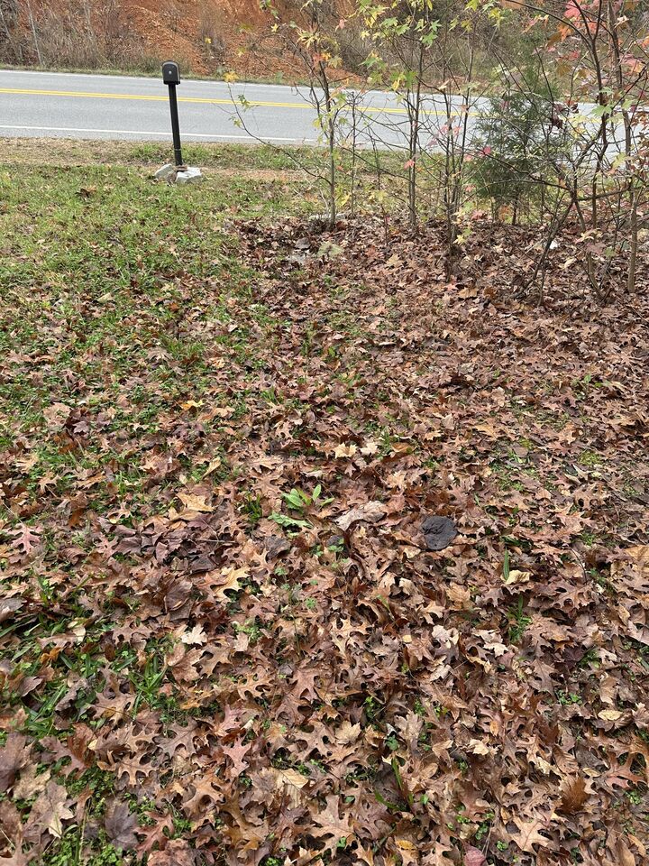Property Photo: 427 The Trace TN 37058