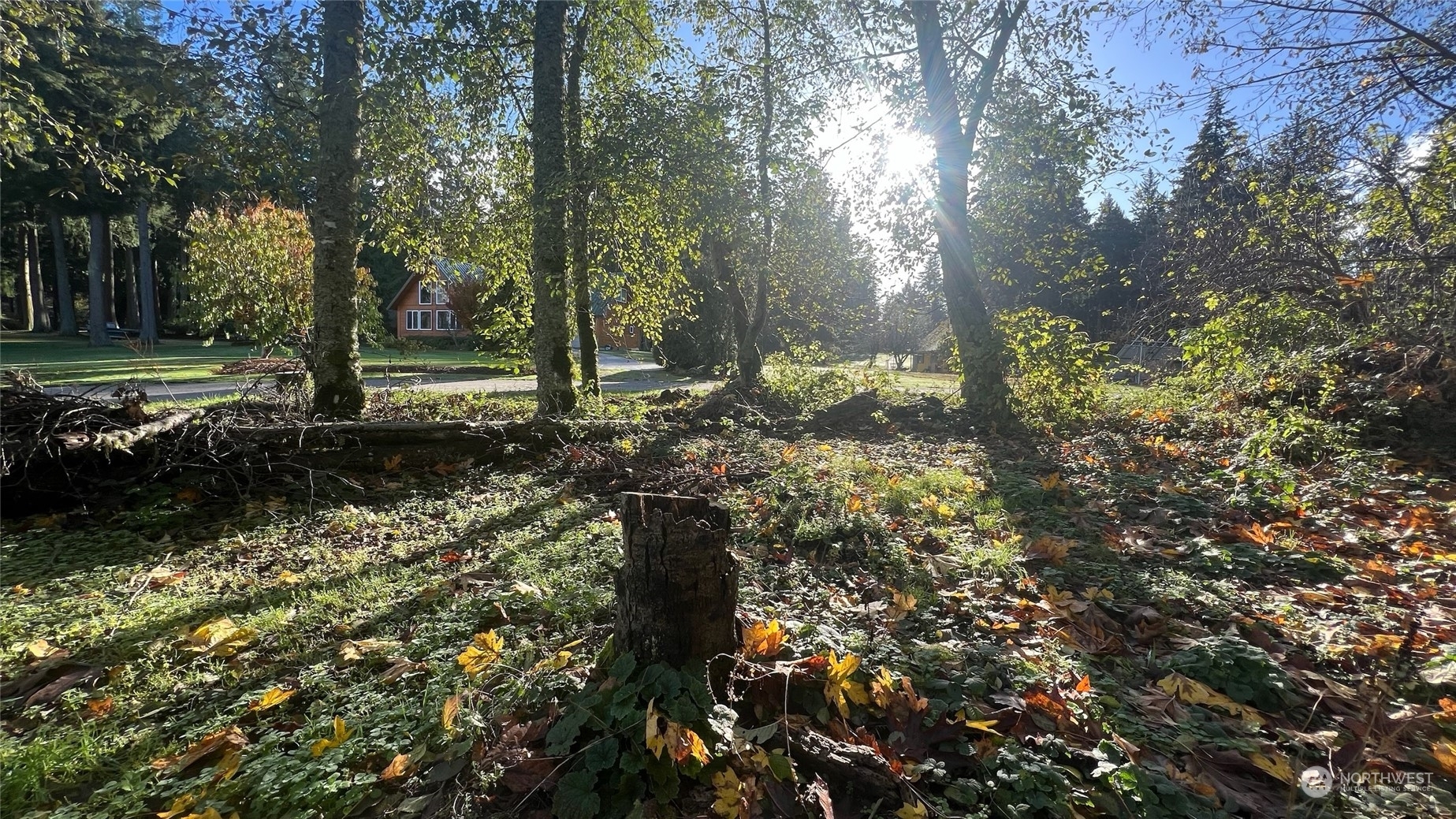 Property Photo: 54 A Saratoga Drive WA 98206