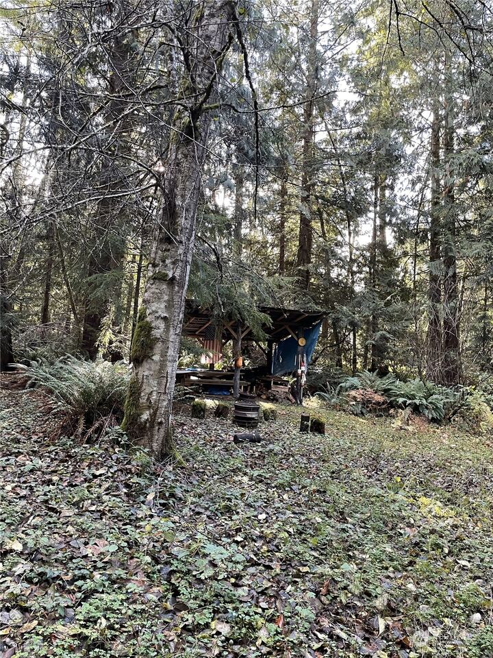 Property Photo: 0 5xx Dodger Lane WA 98363