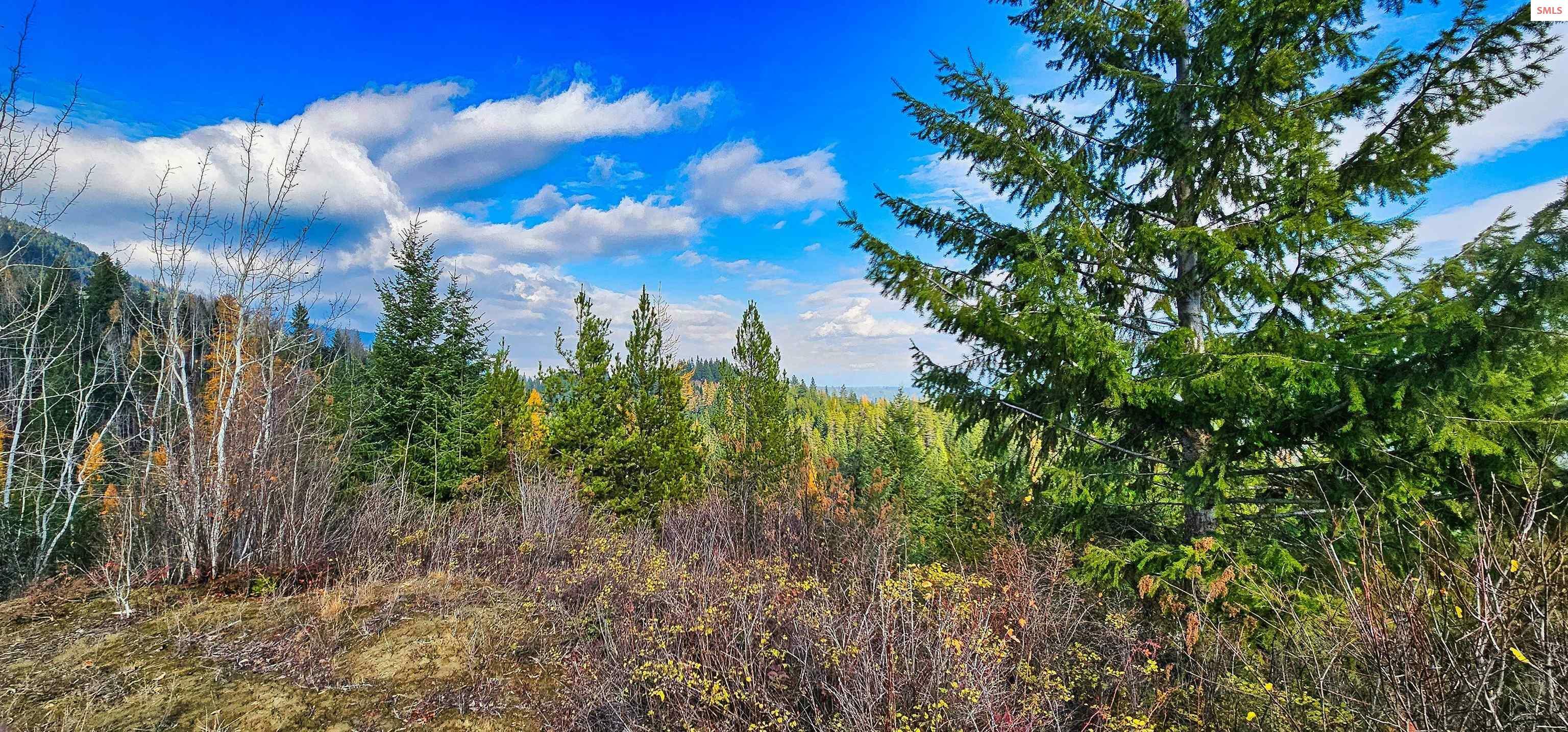 Property Photo:  Nna 45 Acres Otter Lane  ID 83847 