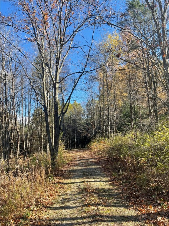 Property Photo:  0 Carney Hollow Road  NY 14560 