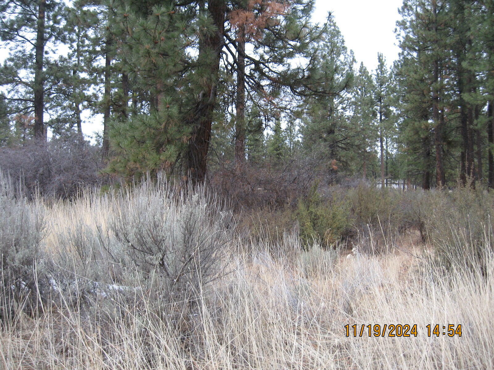 Property Photo:  Lot 28 Brittany Way  OR 97624 