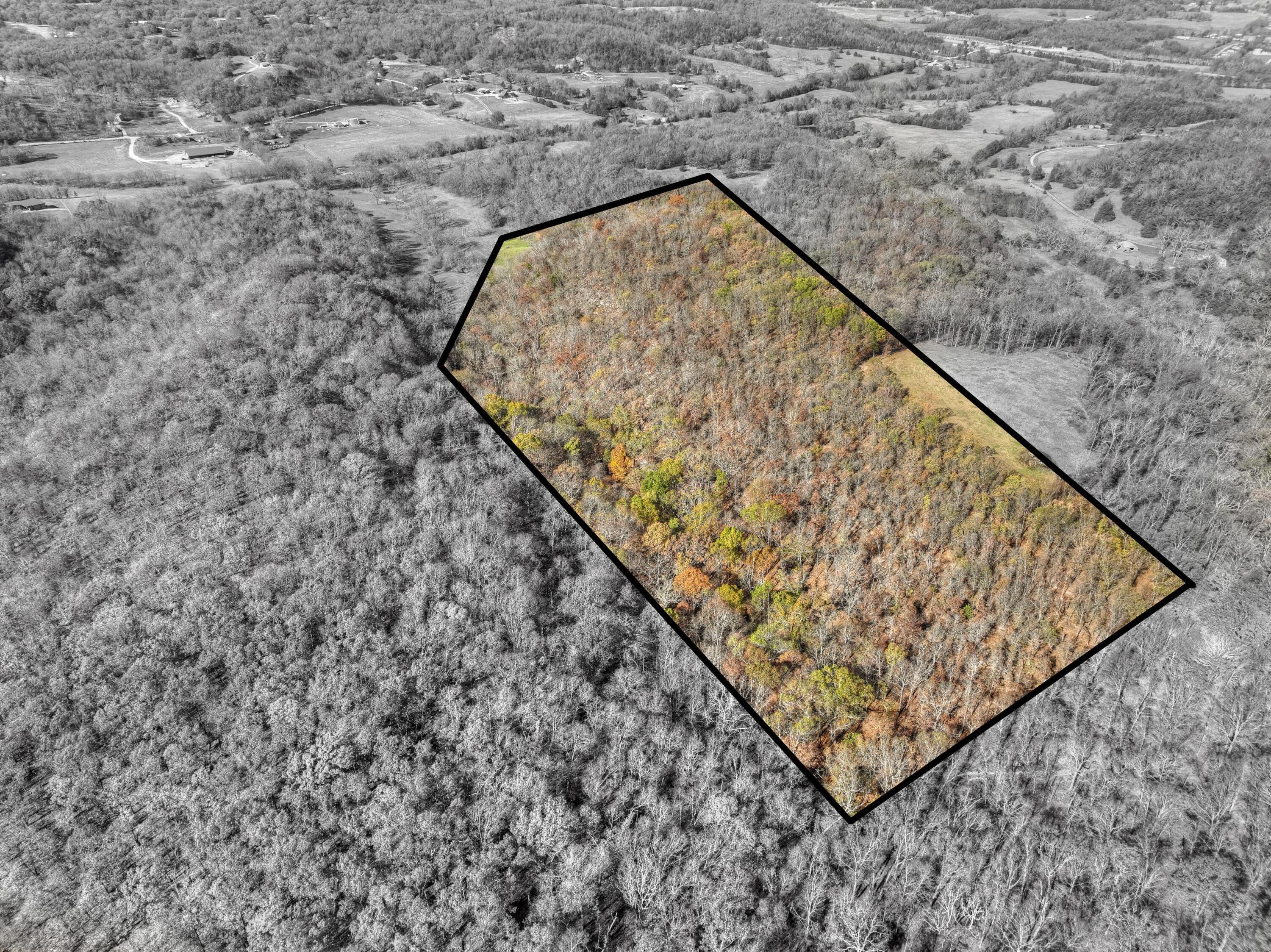 Property Photo: Xx Miser Road MO 64854
