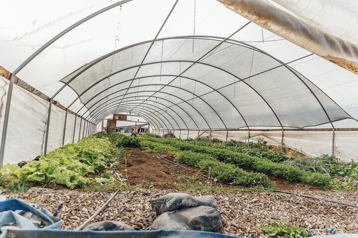 3526 Front Street  Palisade CO 81526 photo