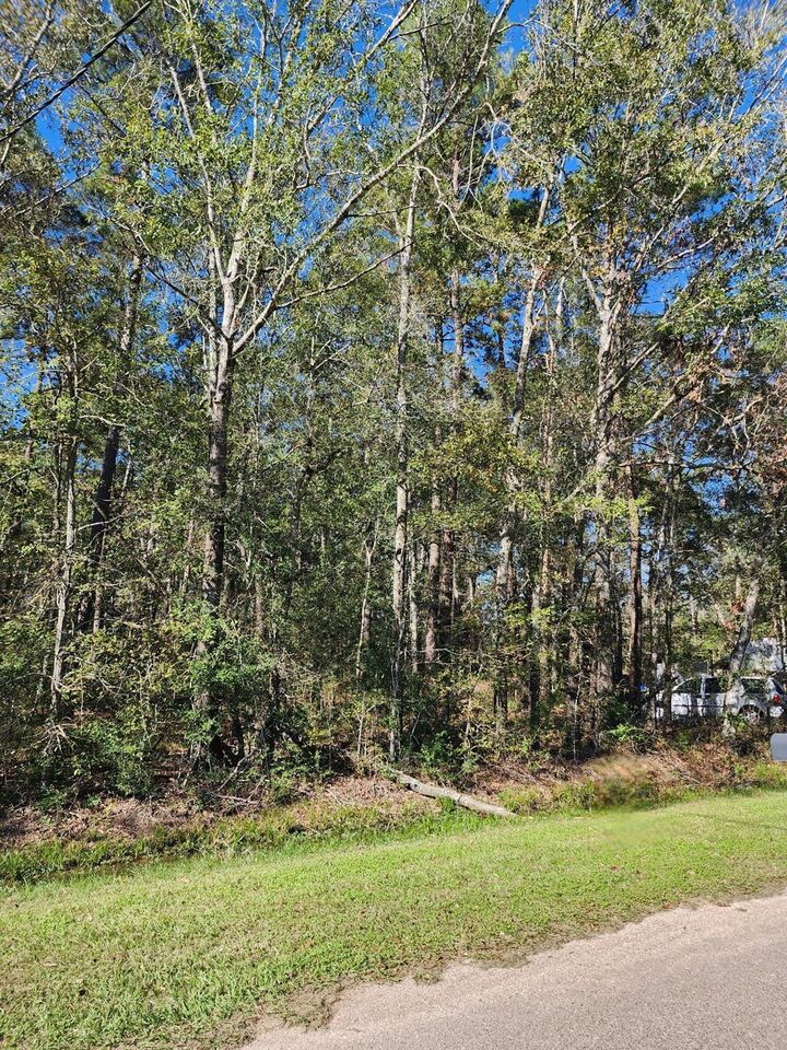 Property Photo:  255 County Road 3662  TX 77372 