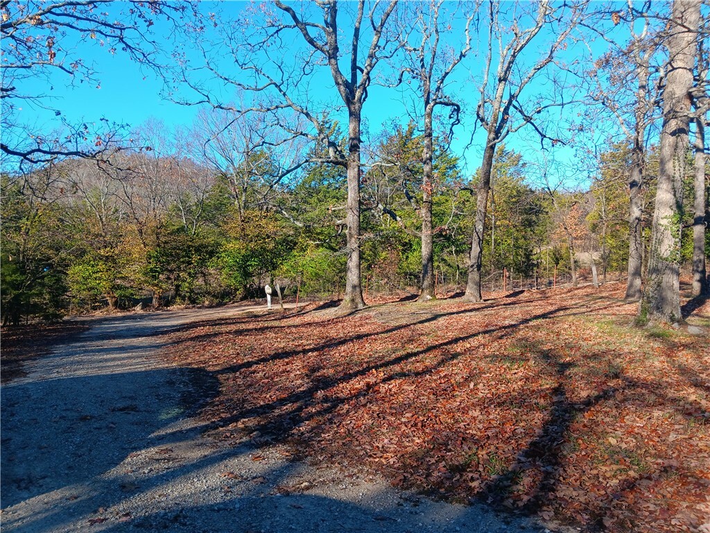 Property Photo:  1987 County Road 607  AR 72638 