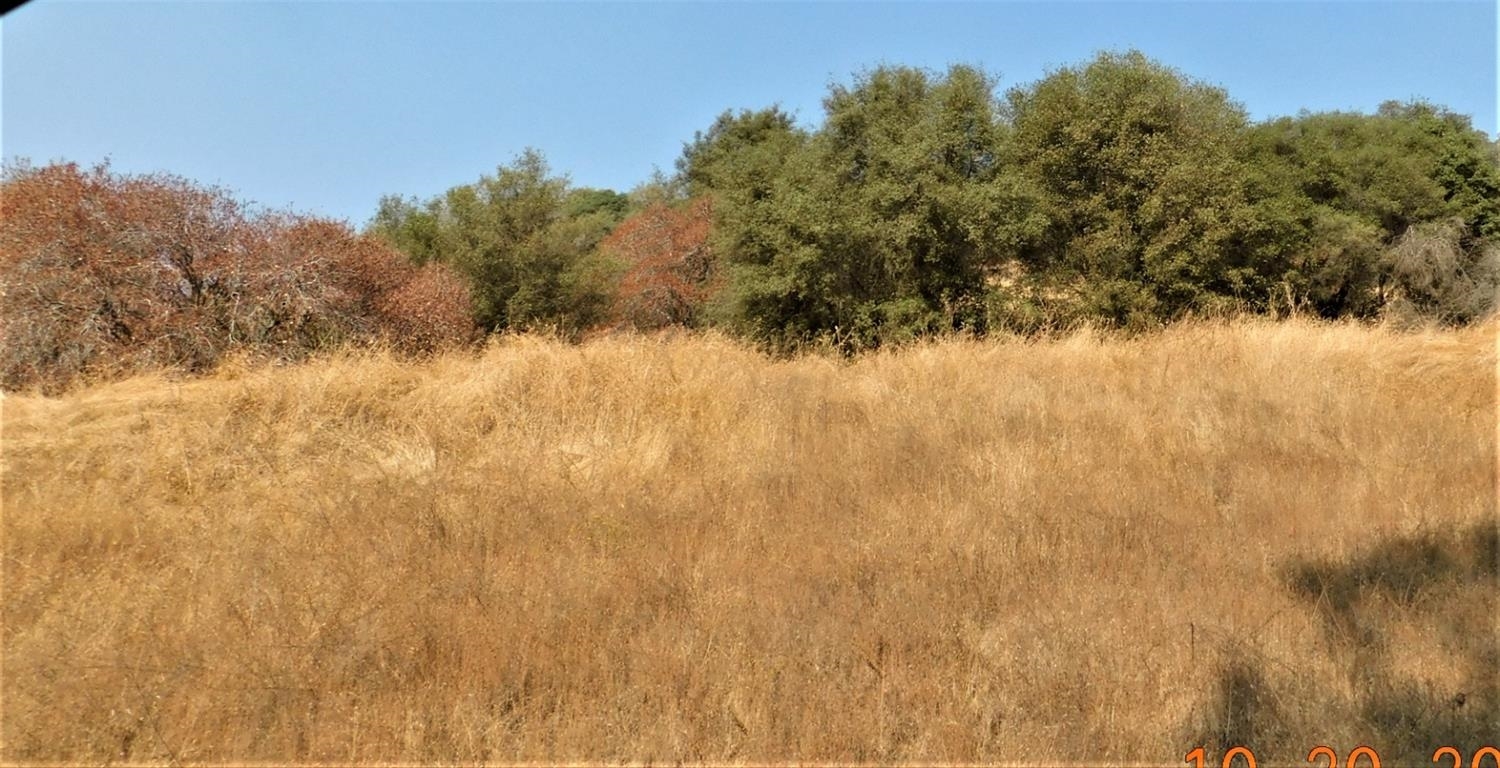 Property Photo:  0 Chuckwagon Rd  CA 93675 