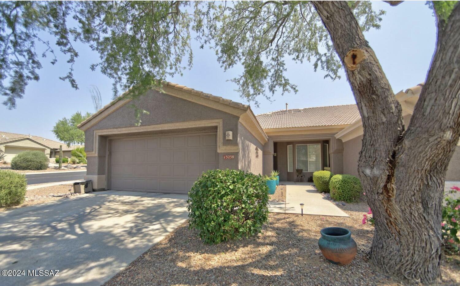 Property Photo:  13238 N Silver Cholla Place  AZ 85658 