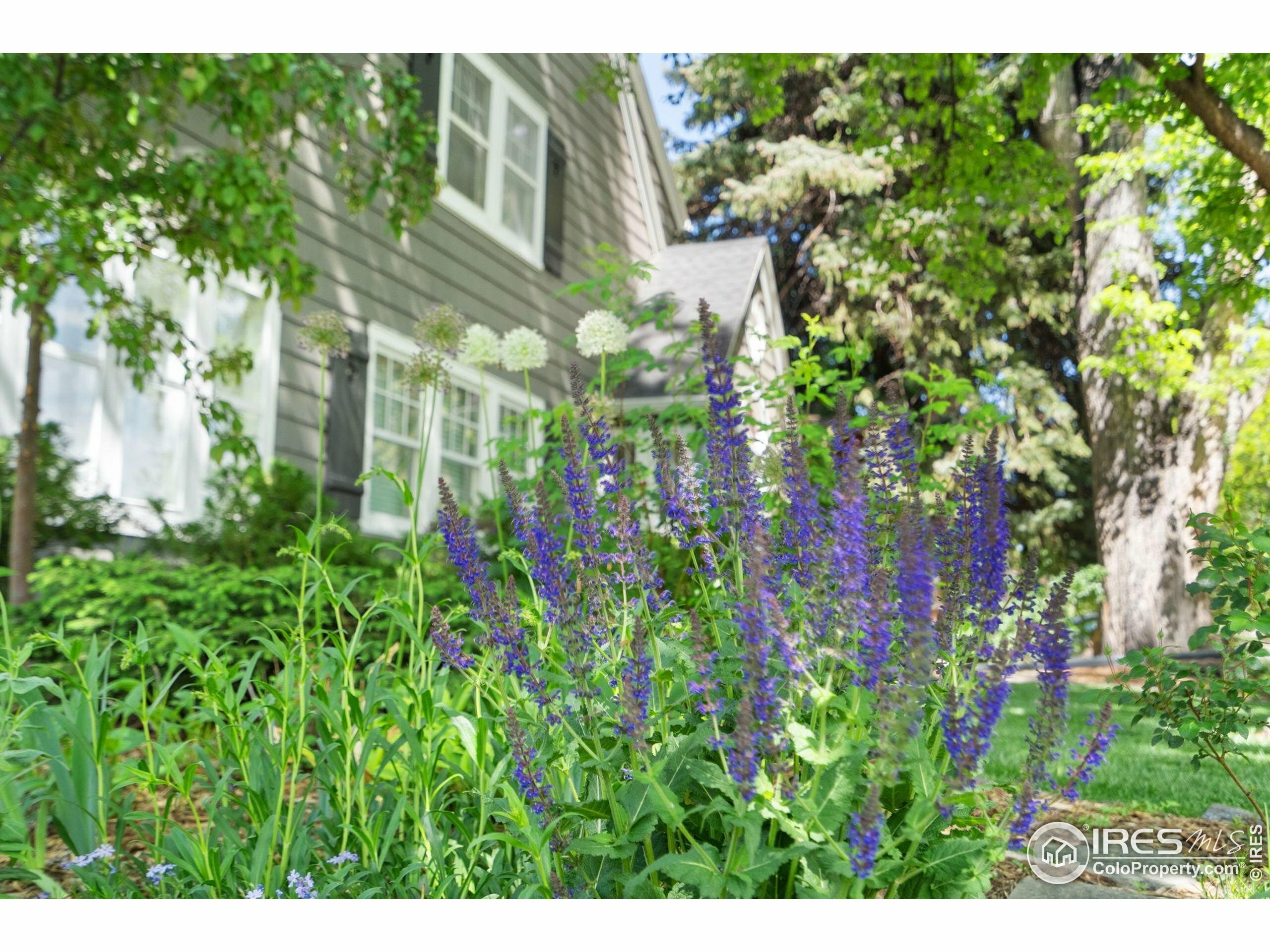 Property Photo: 1130 W Oak St CO 80521