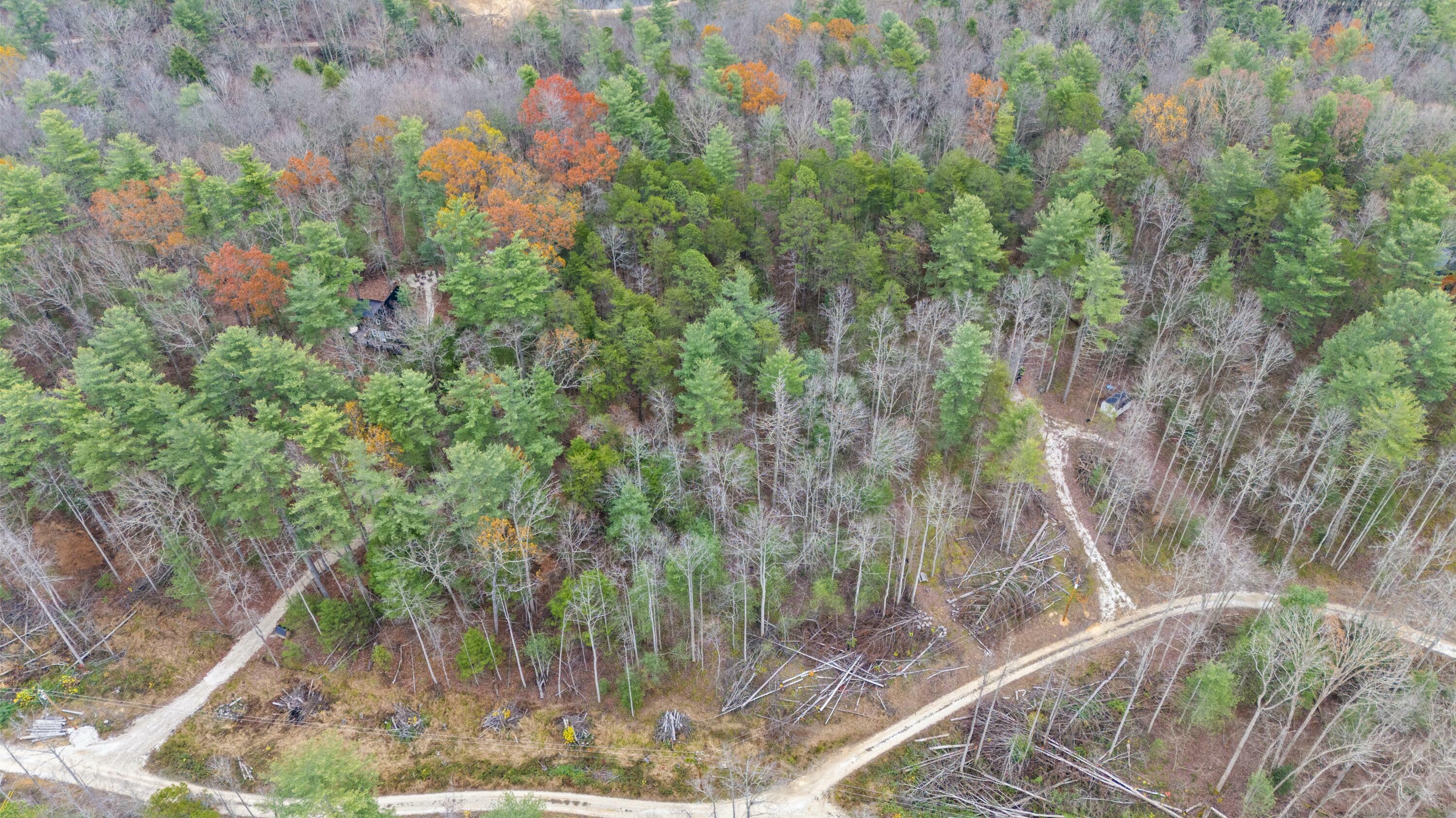 Property Photo:  345 Lot 8 Wolfe Lake Road  KY 41301 