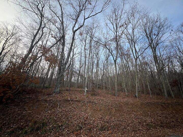 Property Photo:  Lot 65 Cove Creek Road  VA 24651 