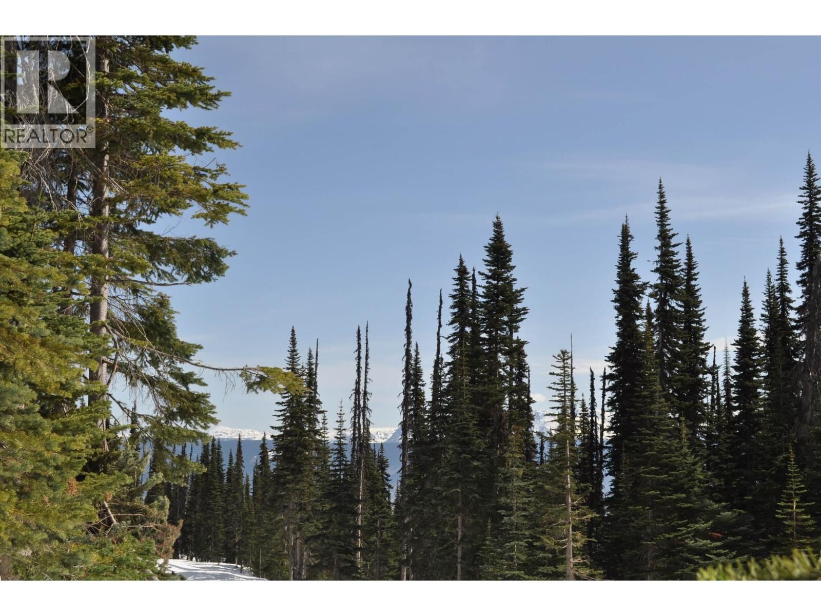 Property Photo:  St Lt 7 Alpine Way Pt.  BC V0J 2N0 