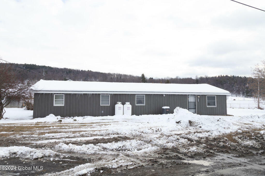 Property Photo:  241 Shad Point Road  NY 12043 