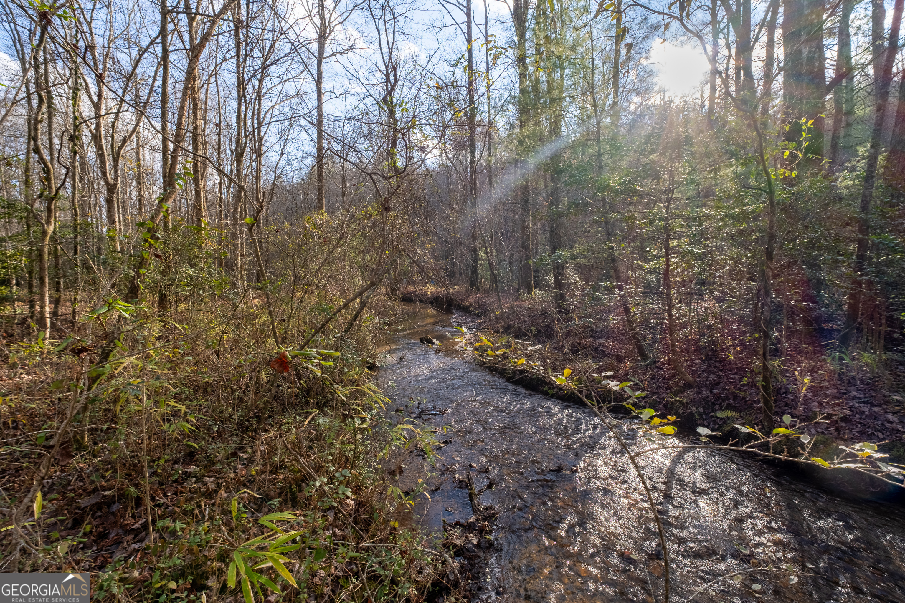 Property Photo:  117 Meadowbrook Lane  GA 30540 