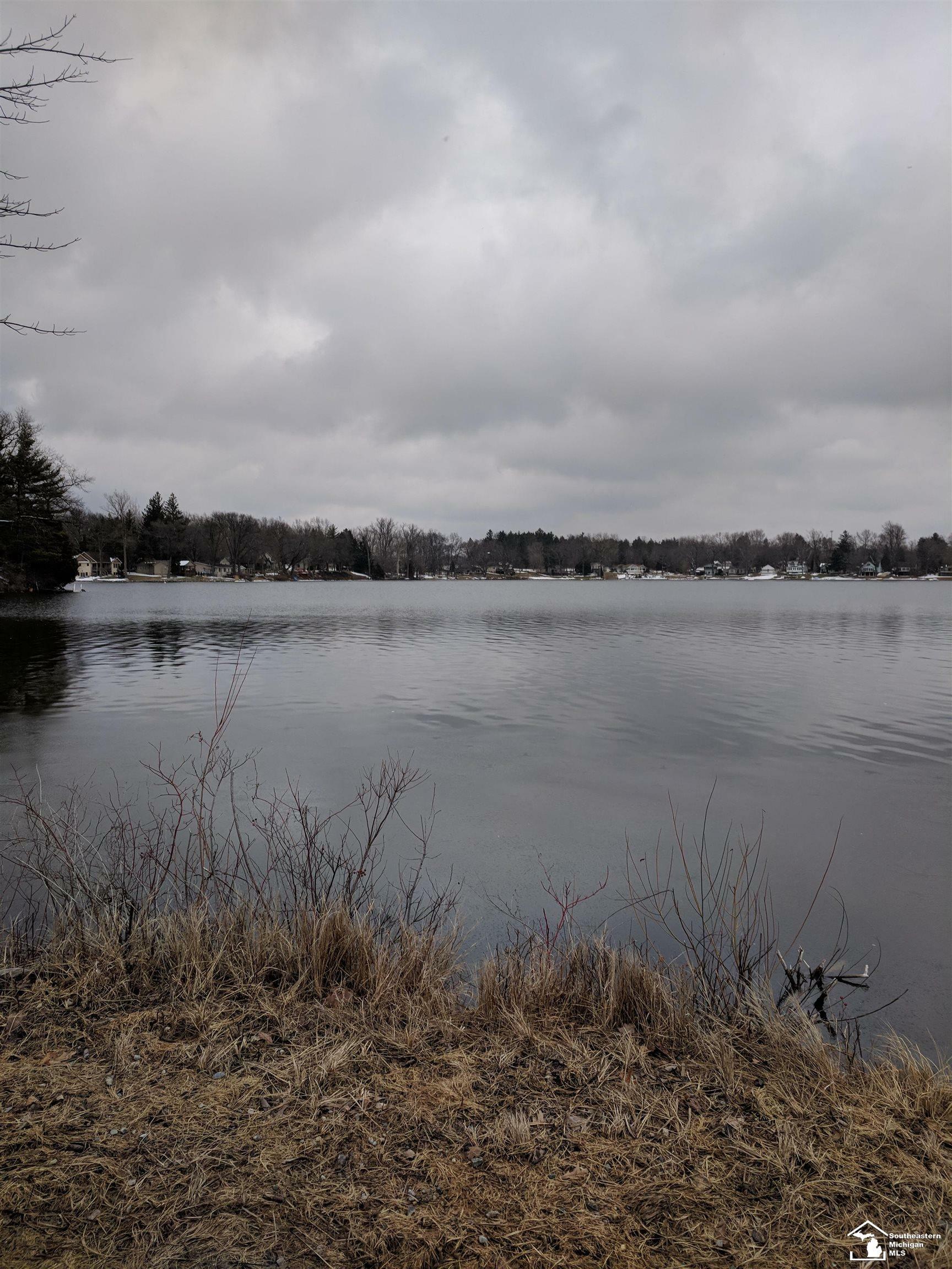 Property Photo:  12684 Crystal Lake Drive  MI 49233 