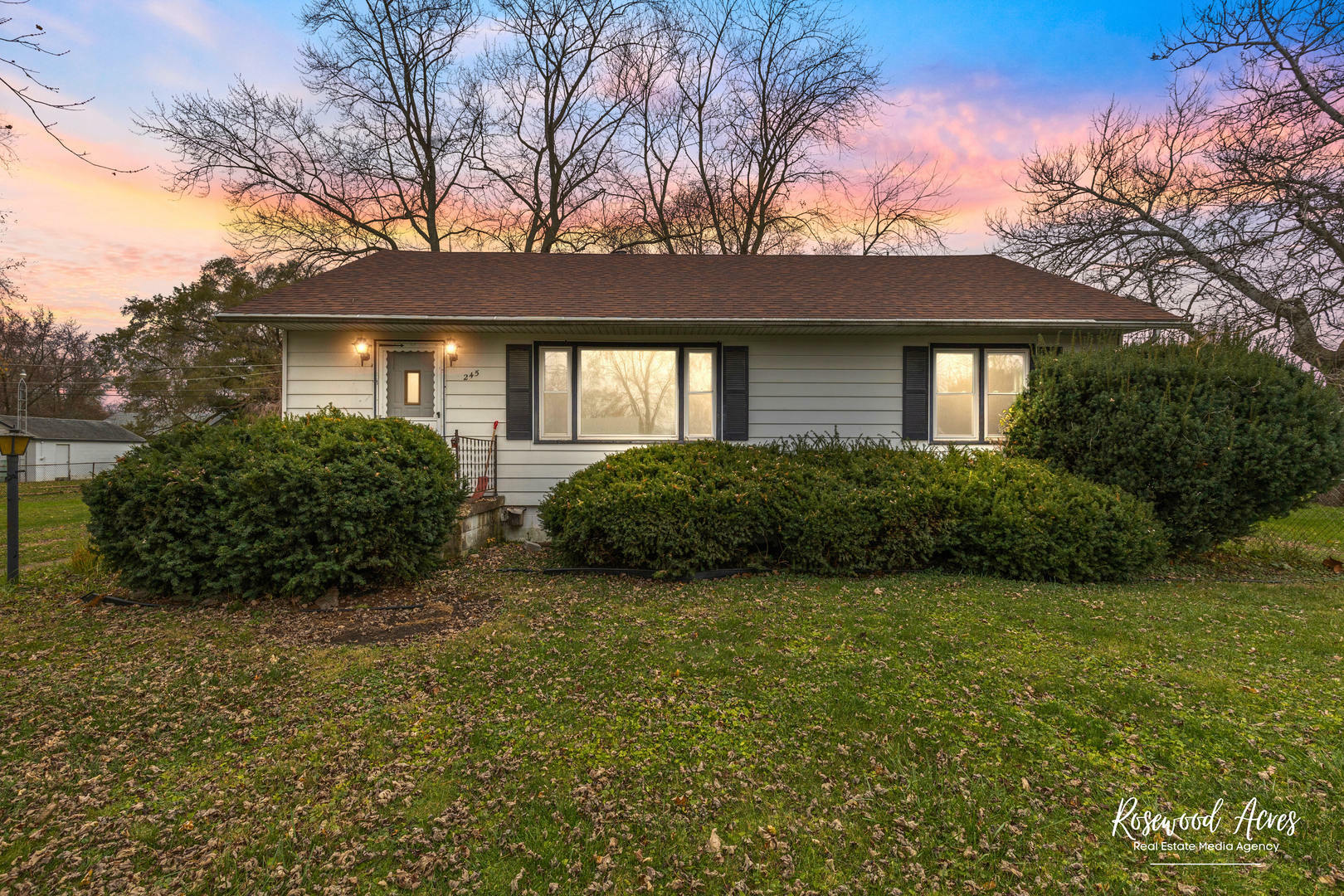 Property Photo:  245 N Monroe Avenue  IL 60915 