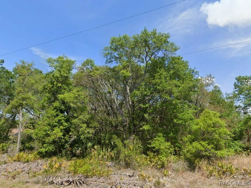 Property Photo:  11985 W Cornflower Drive  FL 34428 