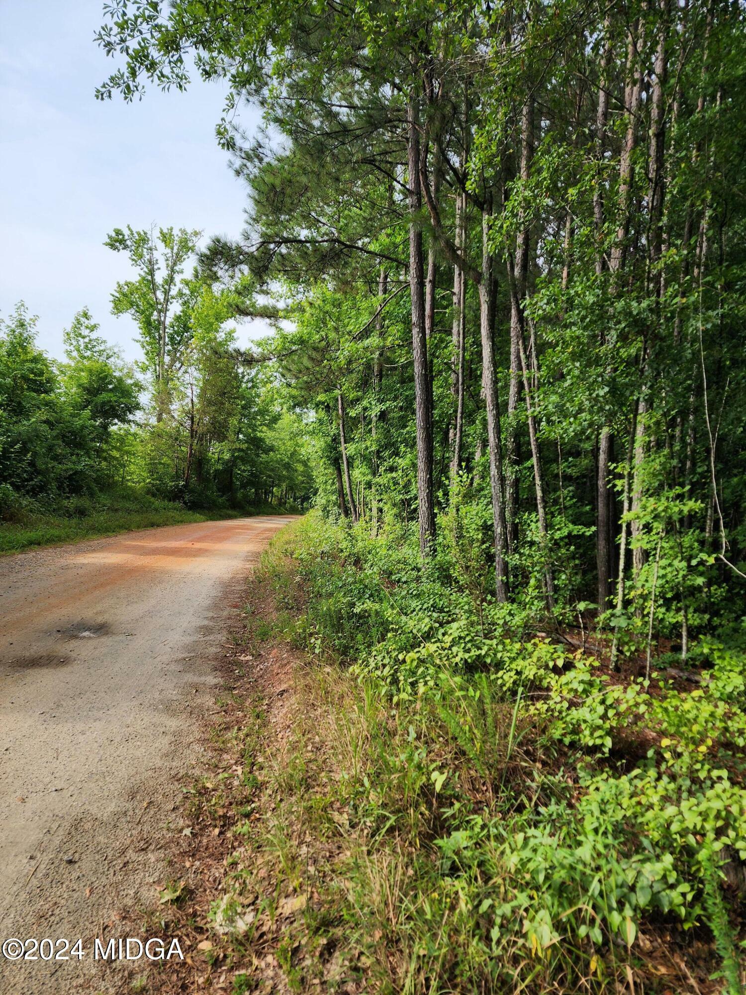 Property Photo:  0 Bunch Road  GA 30233 