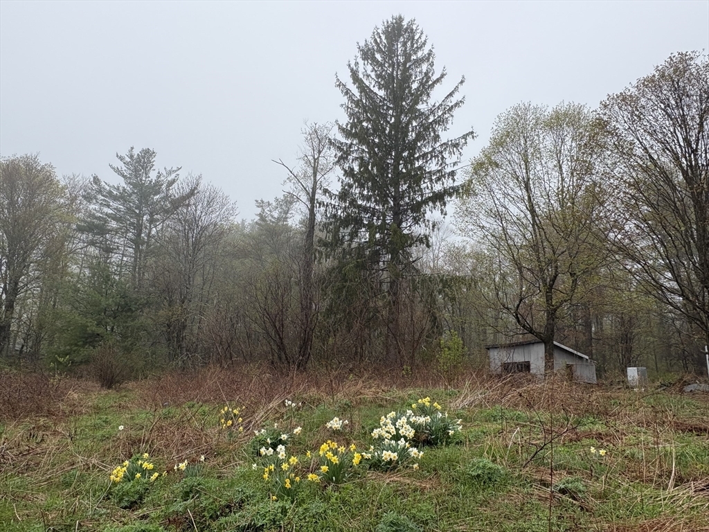 Property Photo: 63 Sugar Hill Road MA 01096