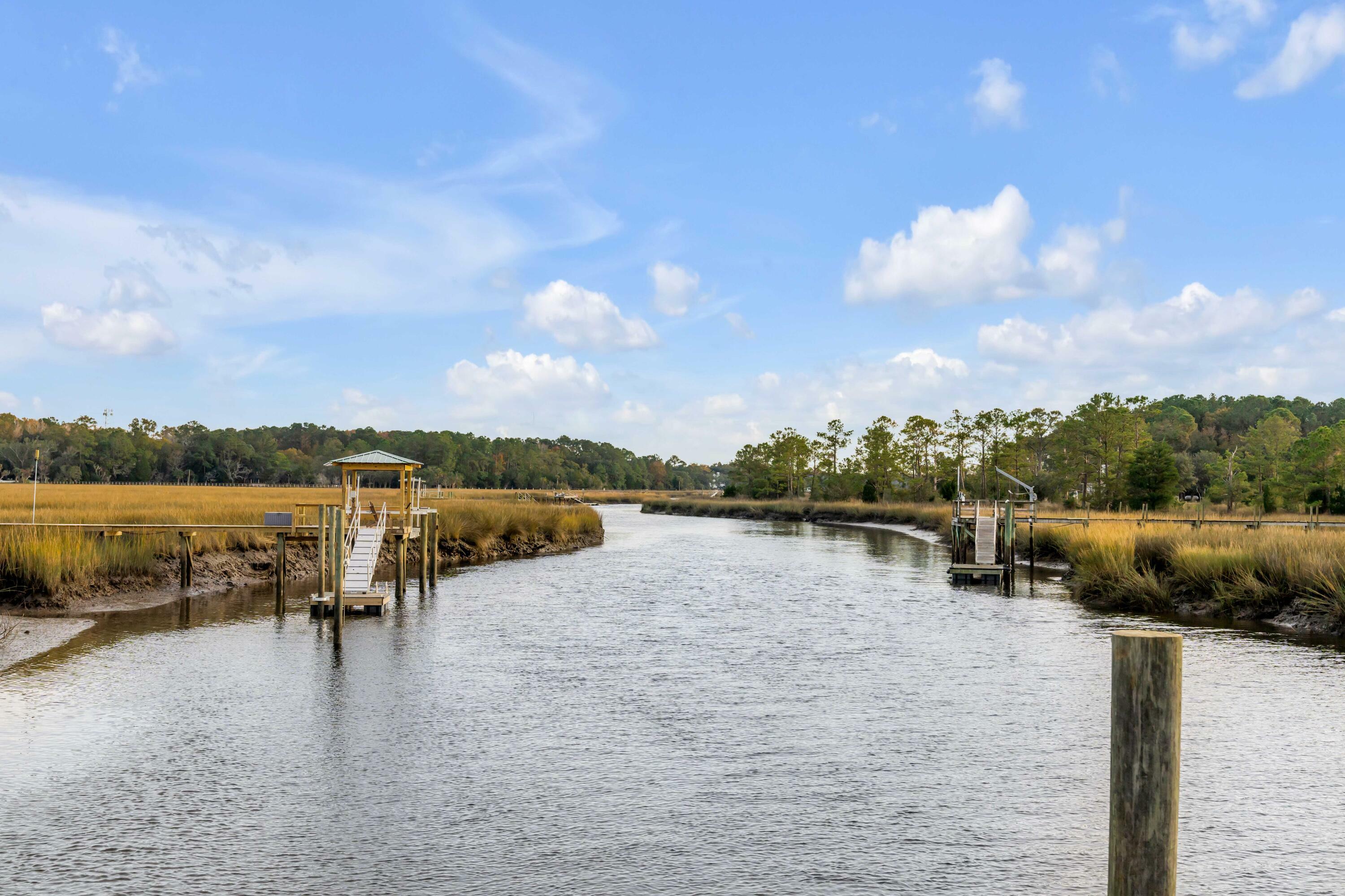 Property Photo:  1225 Guerins Bridge Road  SC 29429 