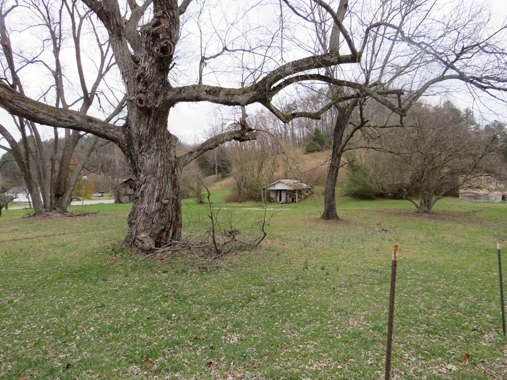 Property Photo:  2048 Ky Rt. 40  KY 41653 
