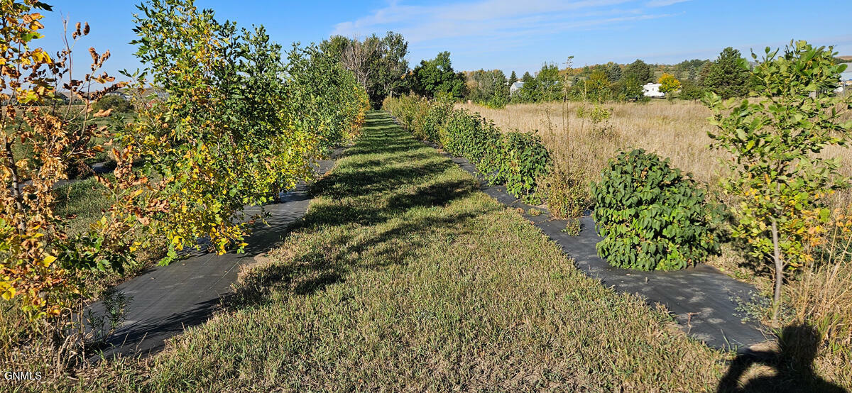 Property Photo: On Country Lane ND 58554