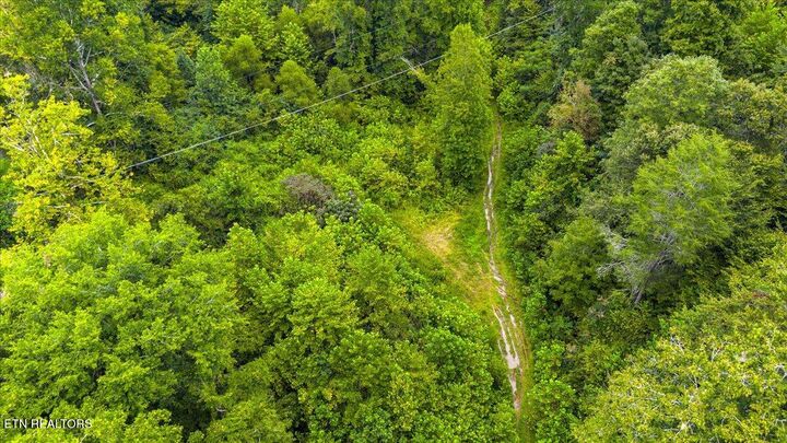 Property Photo:  0 Frost Bottom Rd  TN 37840 