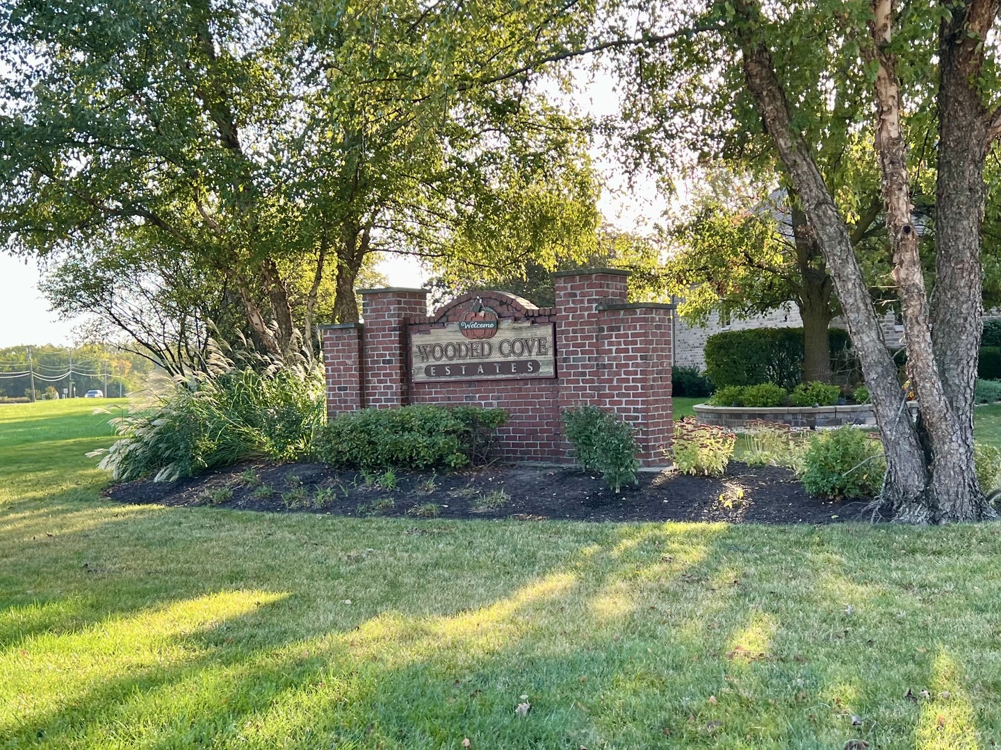 Property Photo:  21253 S Wooded Cove Drive  IL 60421 