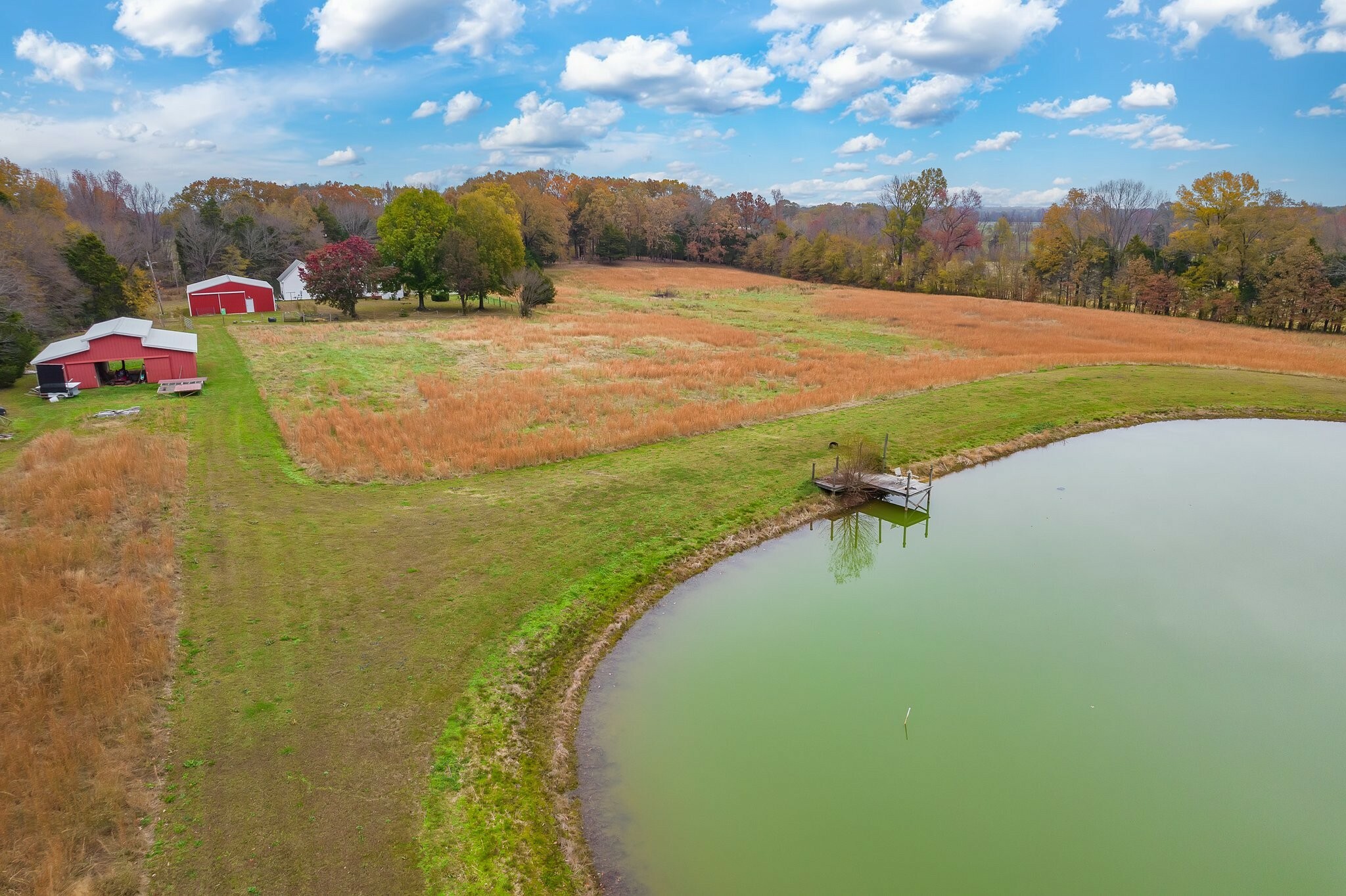 Property Photo:  258 Mason Cemetery Rd  TN 38343 