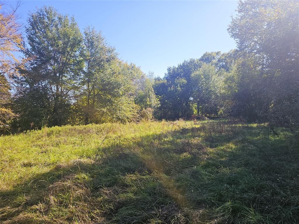 Property Photo:  Tbd Henry Iv Trace  TX 75156 