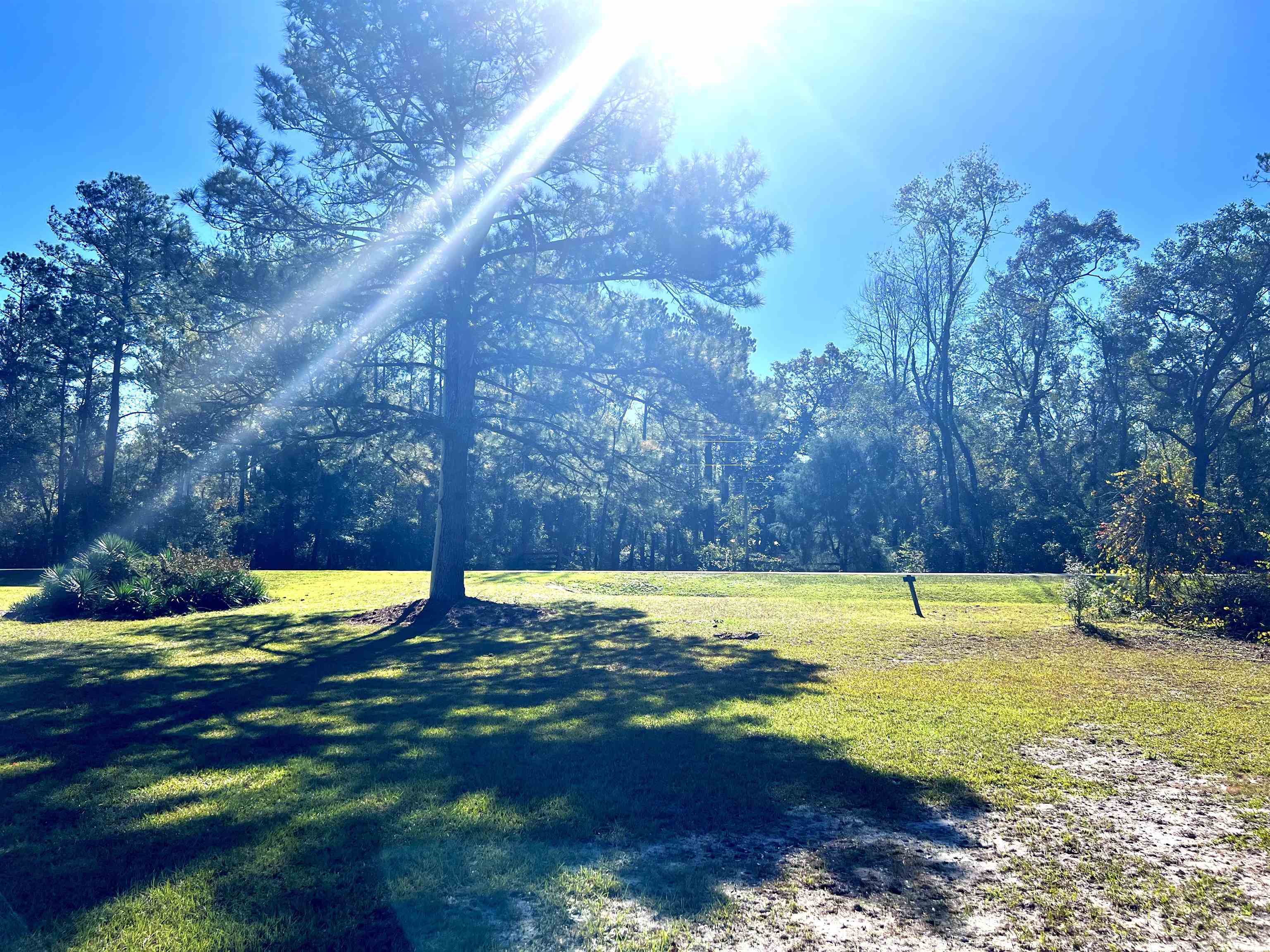 Property Photo:  4019 Ashville Highway O  FL 32344 