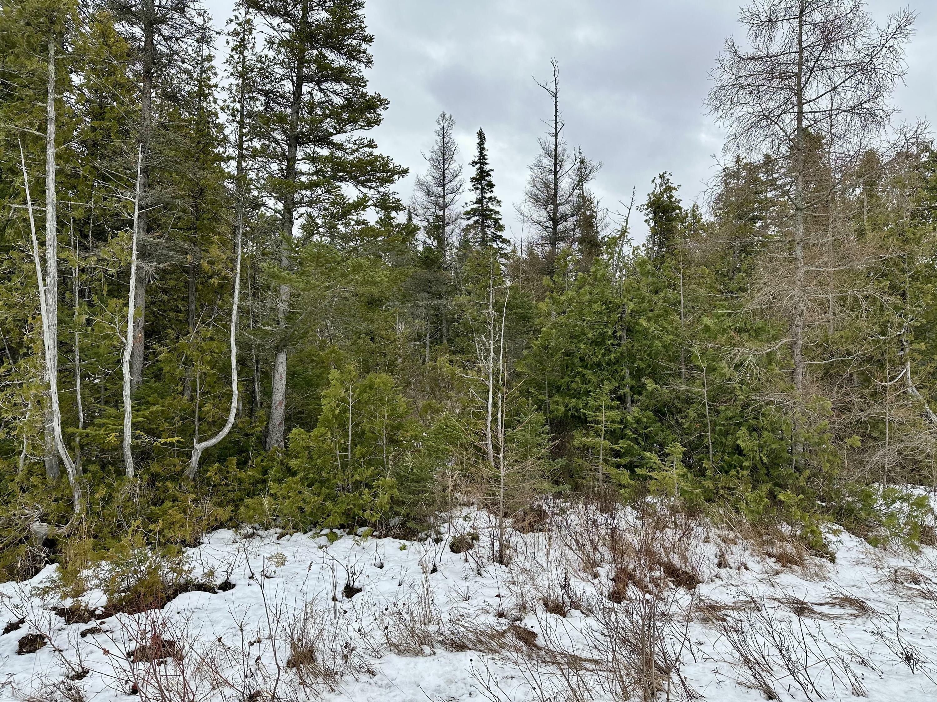 Property Photo:  Tbd E Wilderness Park Drive  MI 49701 