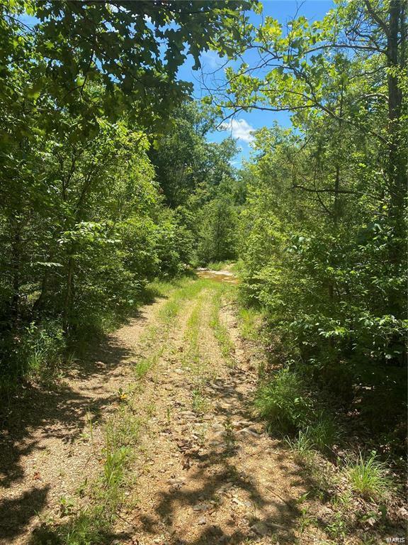 Property Photo:  0 53.84+/- Ac Briarcliff Trail  MO 63071 