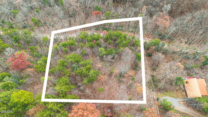 Property Photo:  Tbd Blossom Hollow Way  TN 37876 