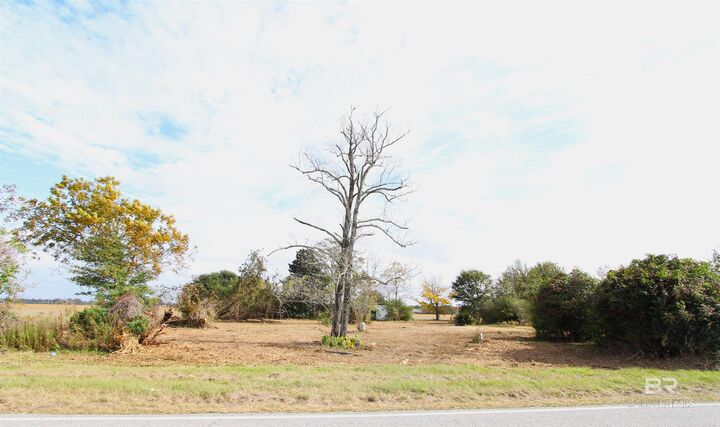 15274 Daugherty Road  Foley AL 36535 photo
