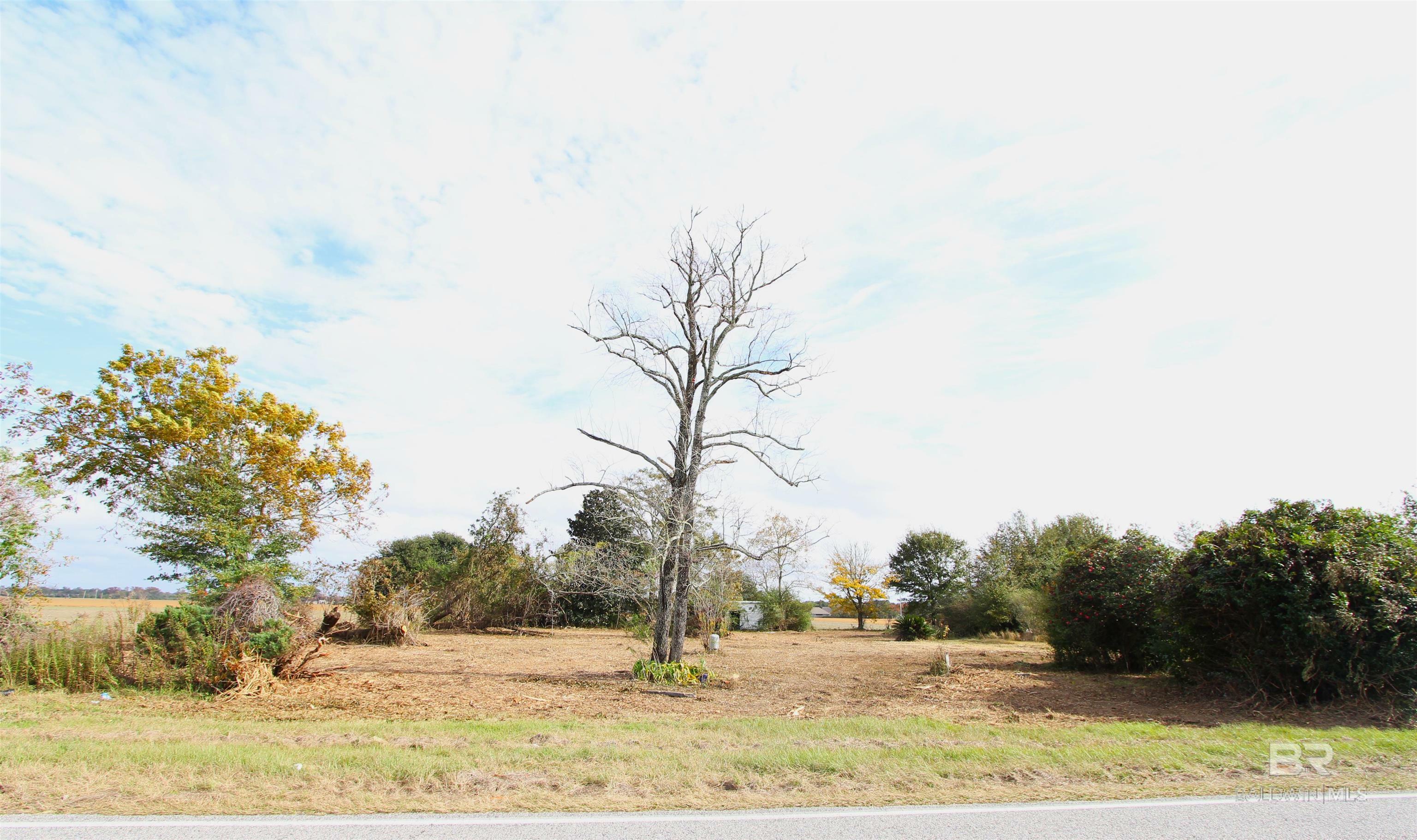 Property Photo:  15274 Daugherty Road  AL 36535 