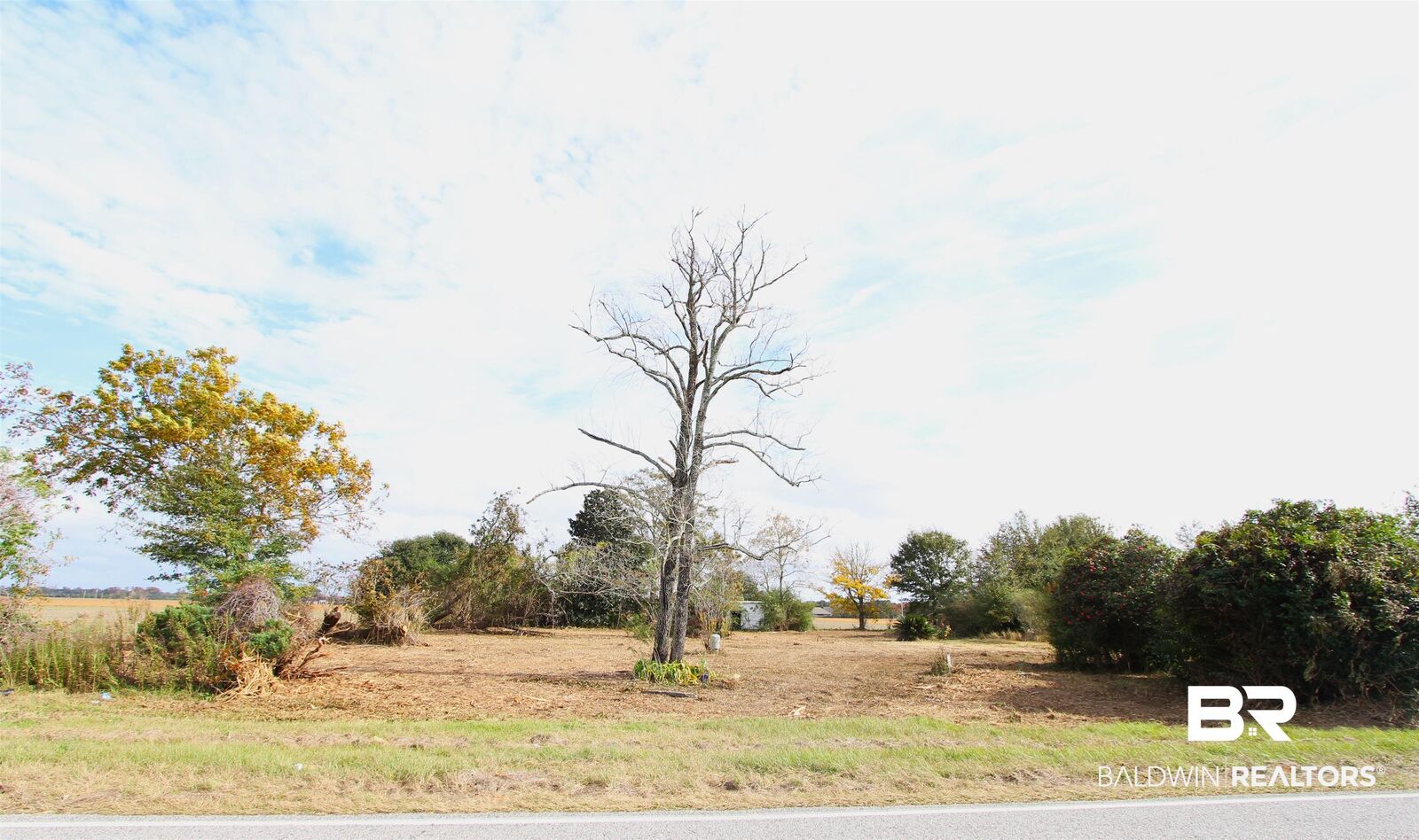 Property Photo:  15274 Daugherty Road  AL 36535 