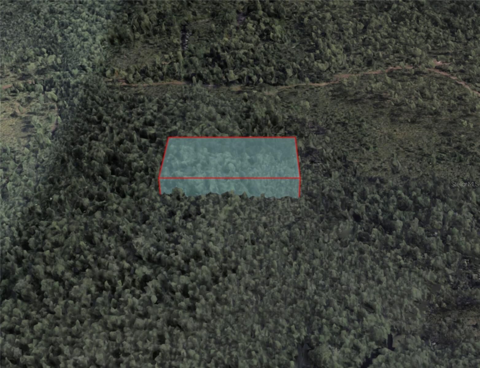 Property Photo: 190 Dill Road FL 32820