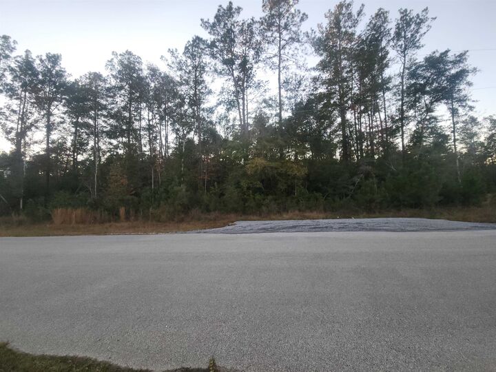 10830 Rock Creek Ridge  Kountze TX 77625 photo