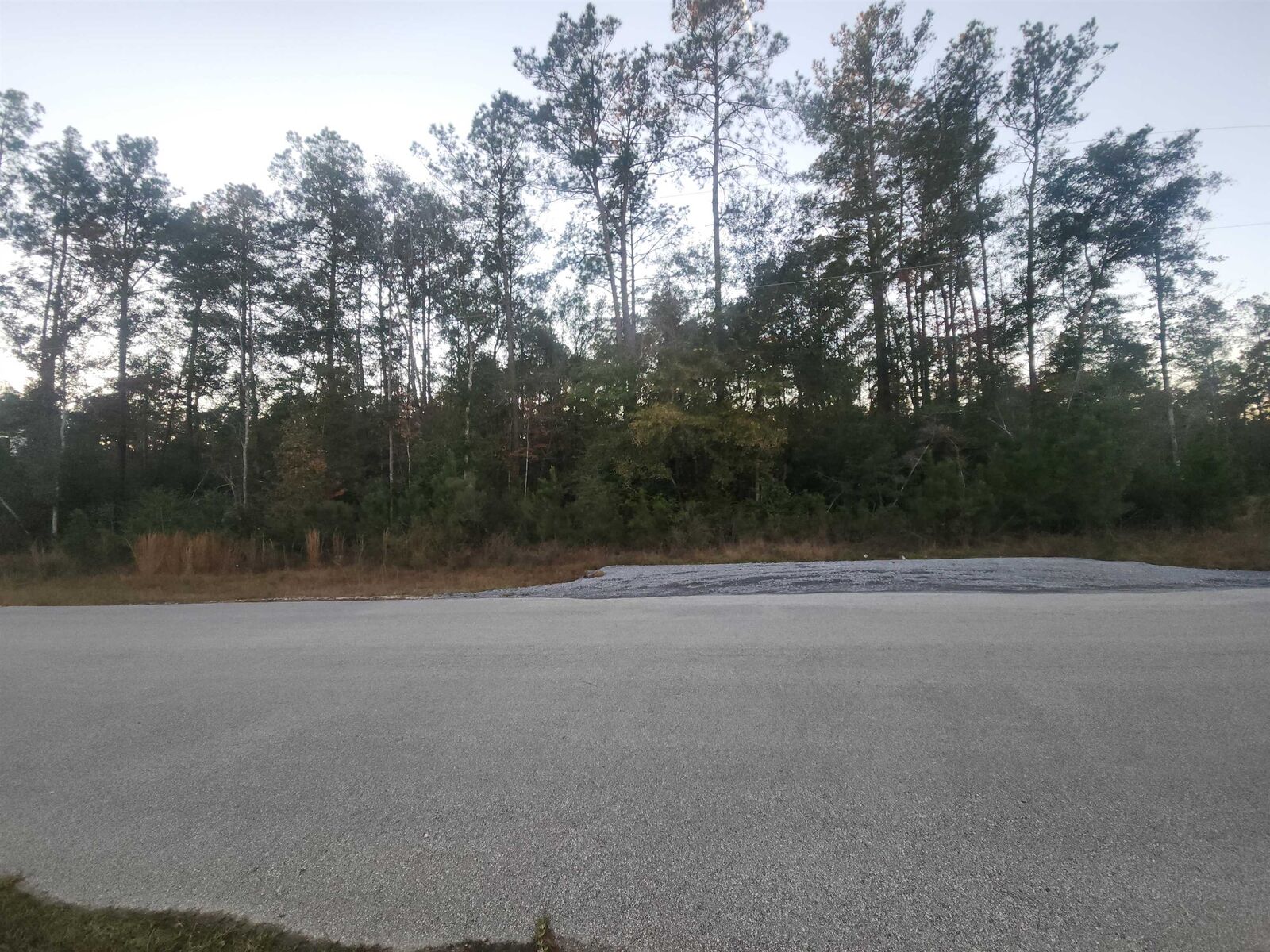 Property Photo: 10830 Rock Creek Ridge TX 77625