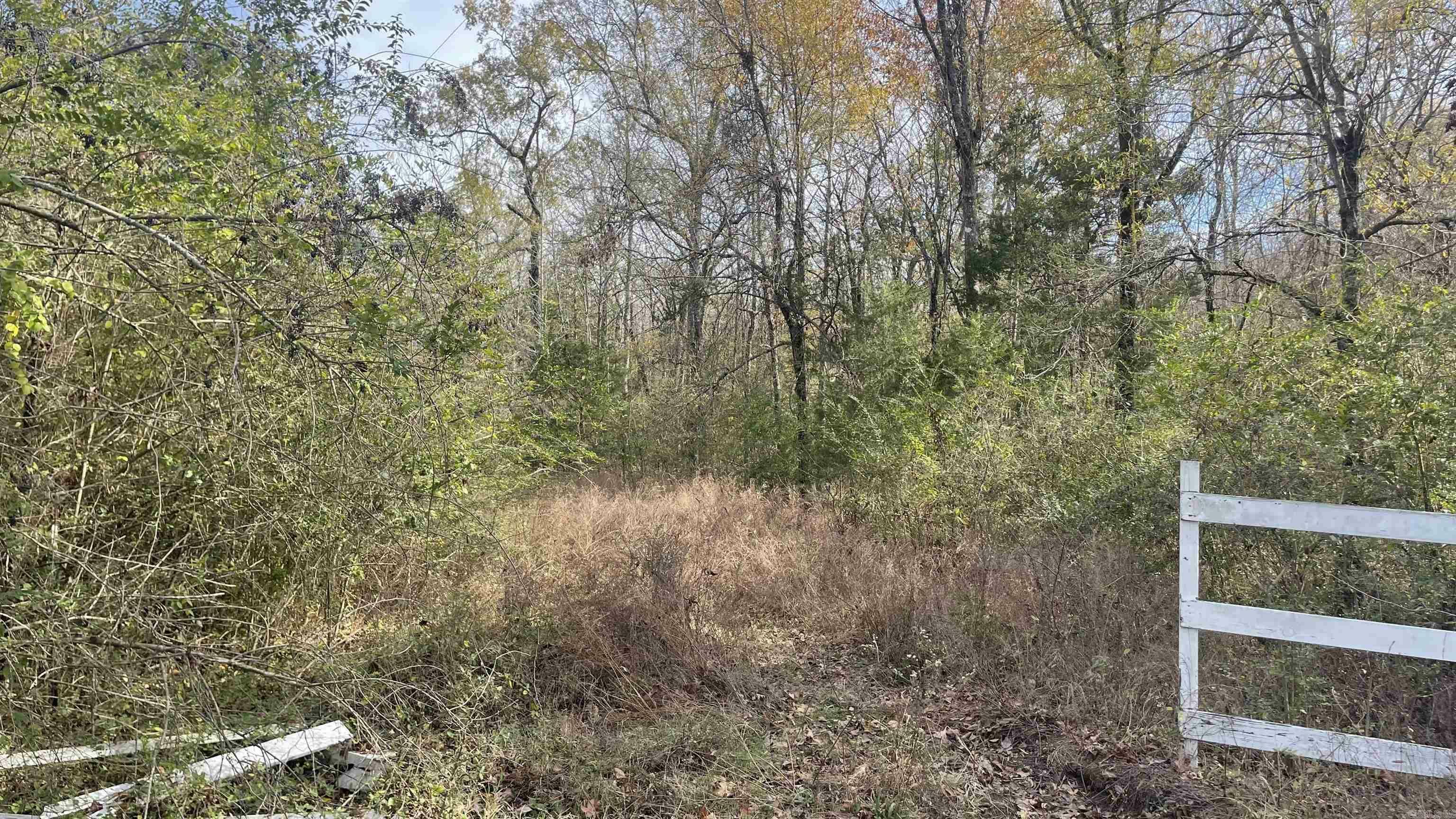 Property Photo:  000 Arnoldsburg South Road  AR 72032 