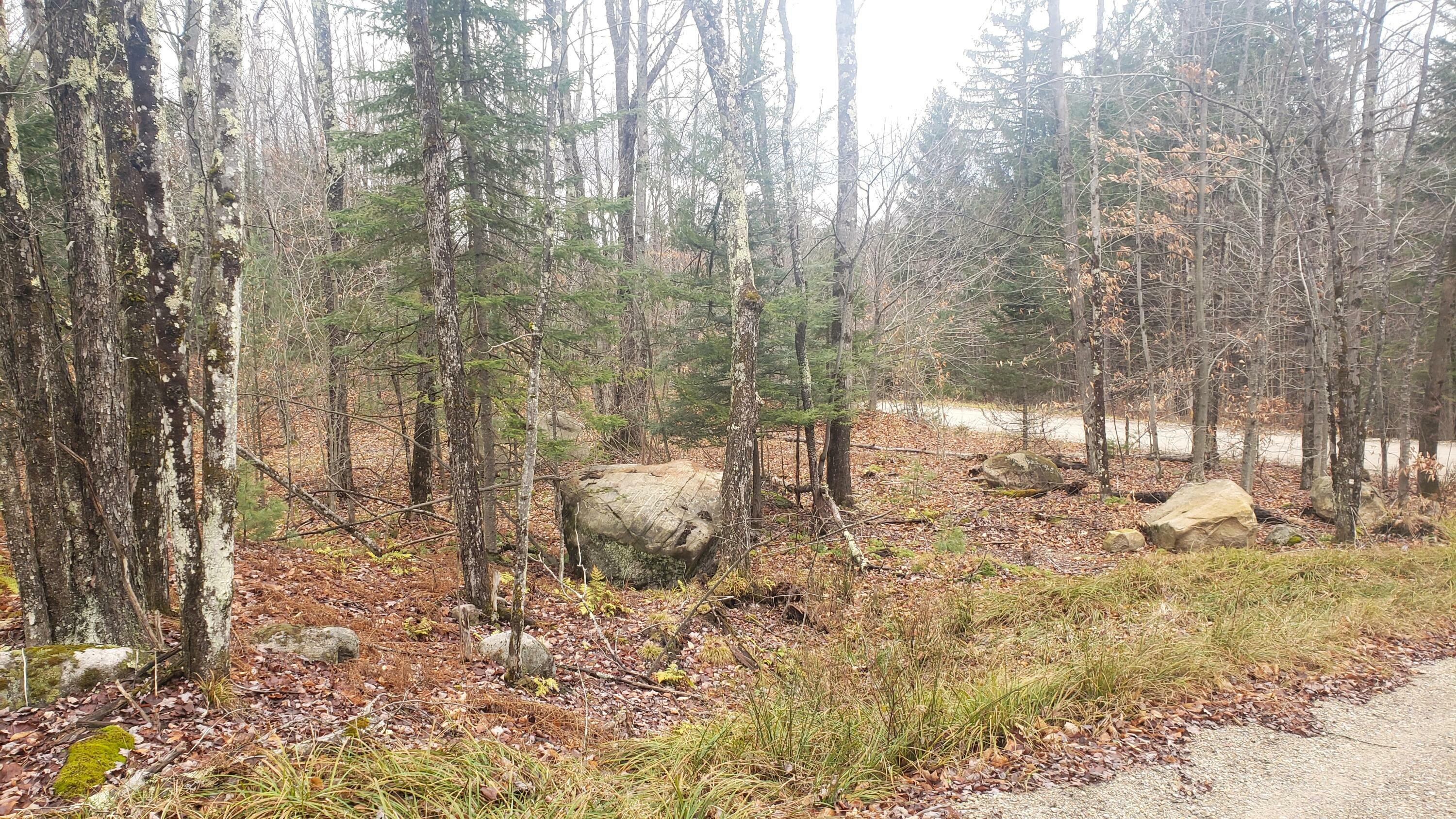 Property Photo:  0 Johnson Road  NY 12953 