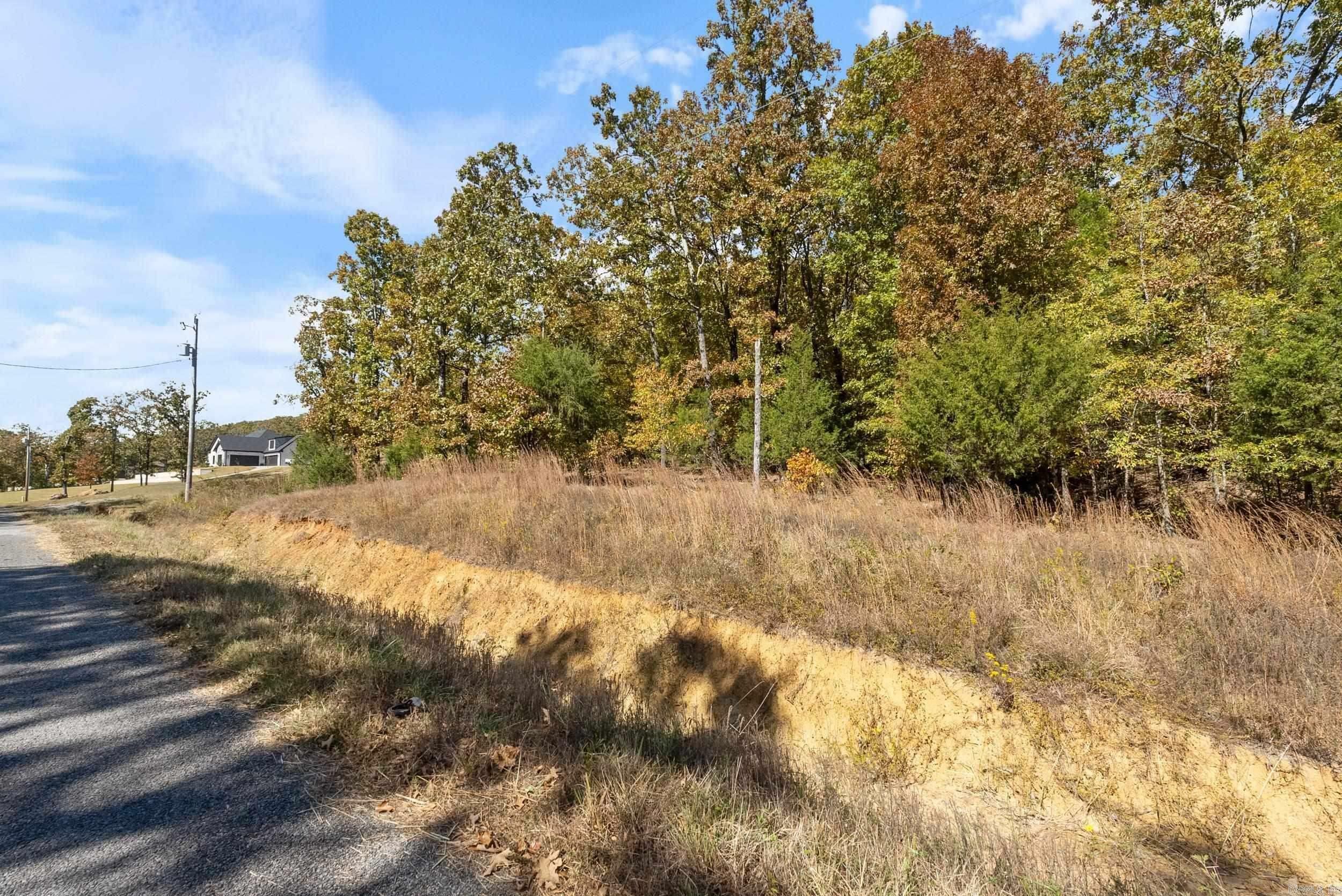 Property Photo: Lot 36 Mystic Lane AR 72032