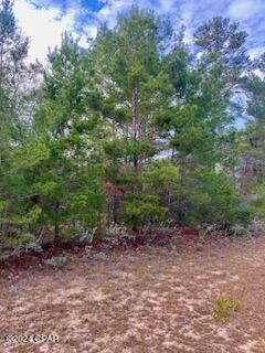 Property Photo:  00 Ventura Drive  FL 32428 