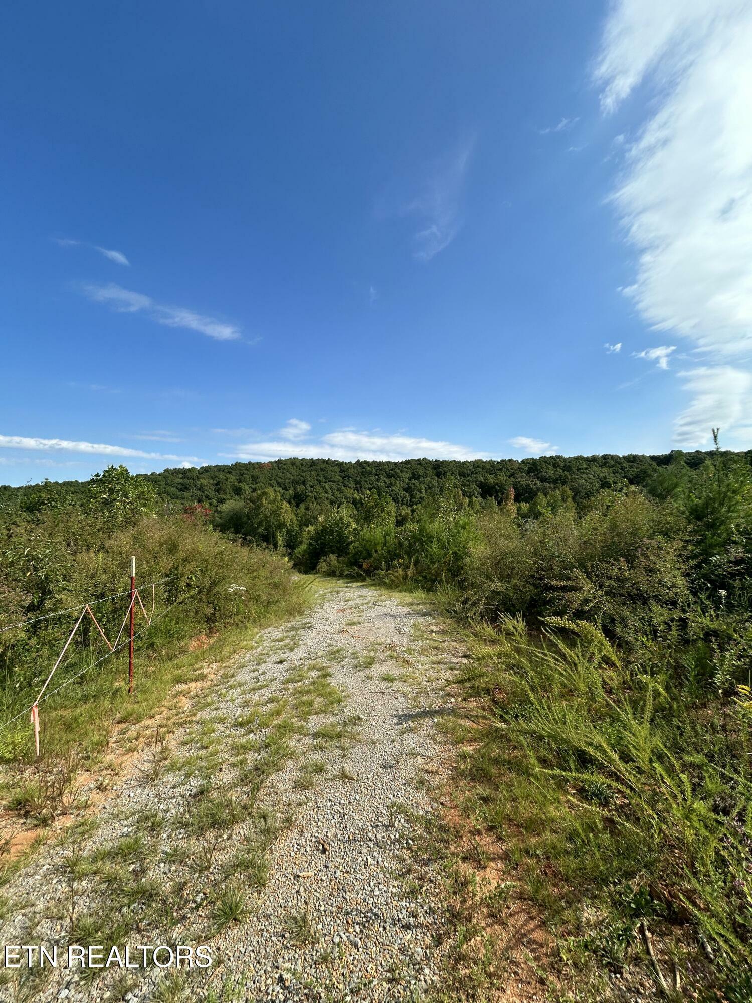 Property Photo:  Maple Grove Rd  TN 37880 