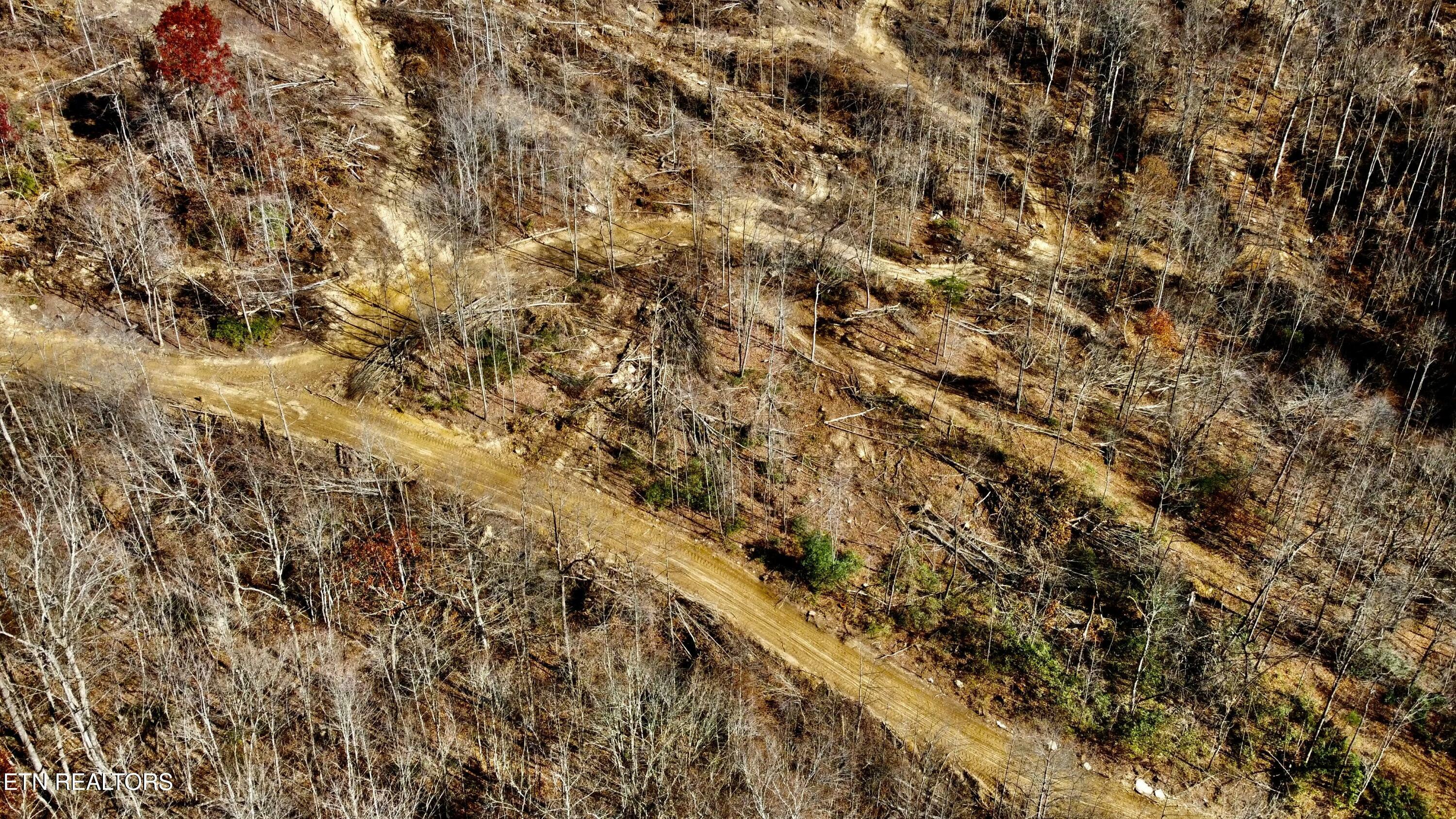 Property Photo:  15 Stanley Creek Rd  TN 37841 