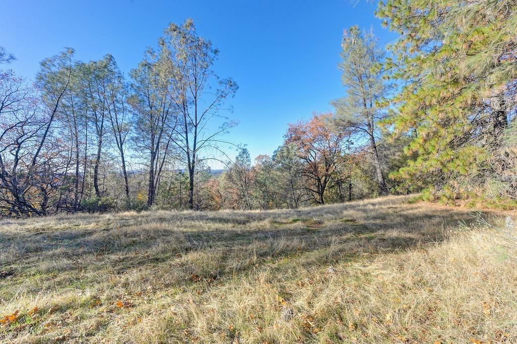 Property Photo:  23050 Retherford Road  CA 95949 